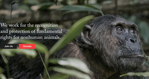 チンパンジーに人権を求めた裁判