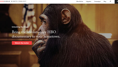 チンパンジーに人権を求めた裁判