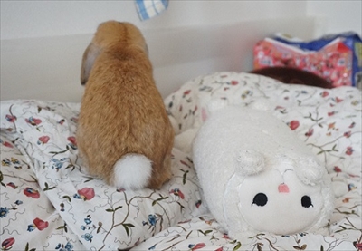 Amebaブログ　もんじももじじ