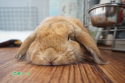 Amebaブログ　もんじももじじ