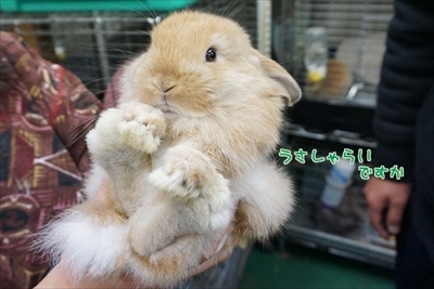 Amebaブログ　もんじももじじ