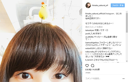 桜井日奈子インスタはじめたってよ