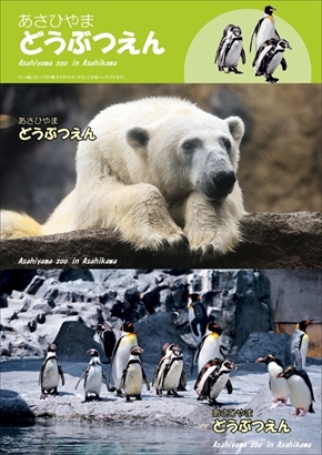 旭山動物園オリジナルフレーム切手