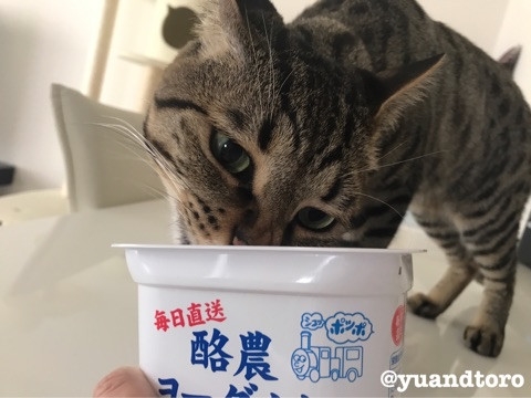 Amebaブログ　ゆうとろ日記