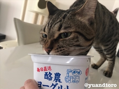 Amebaブログ　ゆうとろ日記