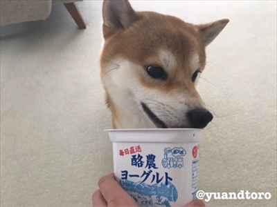 Amebaブログ　ゆうとろ日記