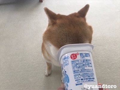 Amebaブログ　ゆうとろ日記