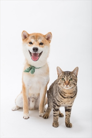 Amebaブログ　ゆうとろ日記