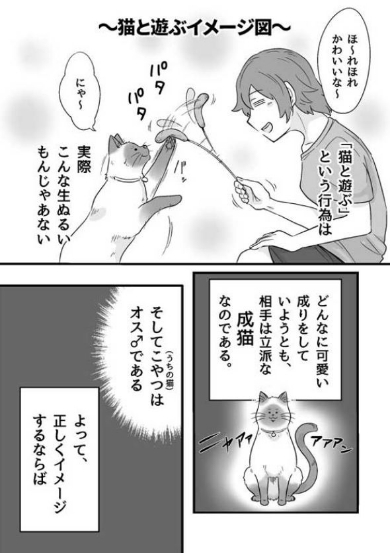 猫 遊ぶ 疲れる 漫画 ゴンさん 本気