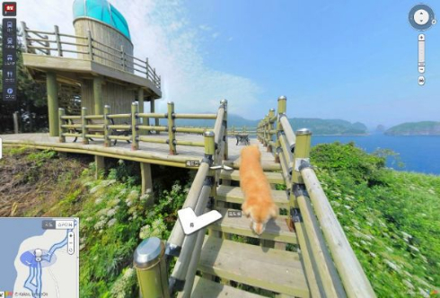 犬 ストリートビュー 韓国 ウルルン郡 Daum