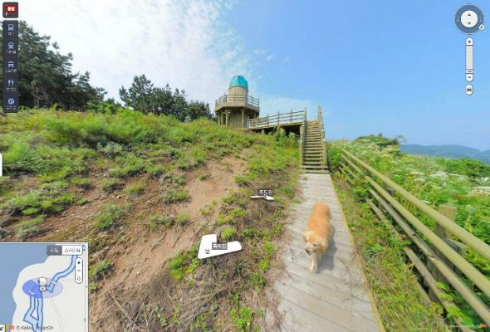 犬 ストリートビュー 韓国 ウルルン郡 Daum