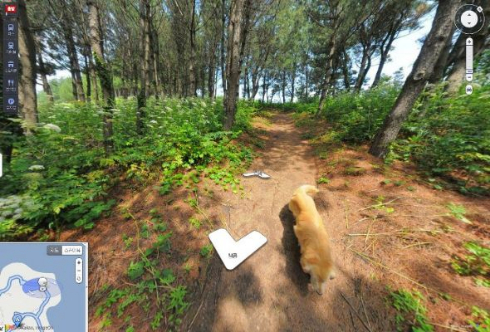犬 ストリートビュー 韓国 ウルルン郡 Daum
