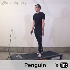 歩き方 例 100 動画