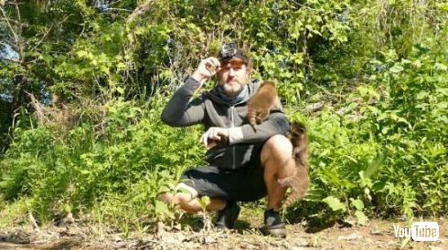 アライグマ 子ども おじさん 懐かれる