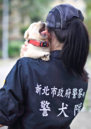 警察子犬
