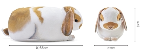 フレンチロップイヤー　クッション