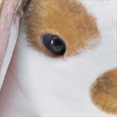 フレンチロップイヤー　クッション