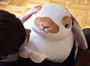 フレンチロップイヤー　クッション