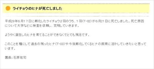 ニホンライチョウ