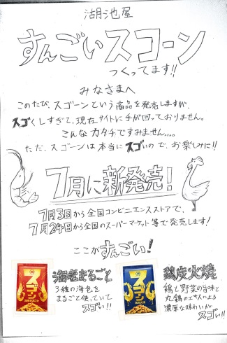 湖池屋 スコーン スゴーン 雑