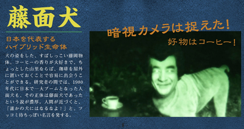 未確認藤岡物体