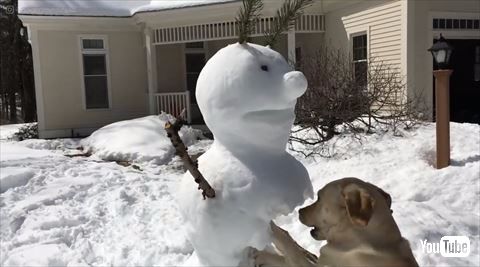 雪だるまと犬