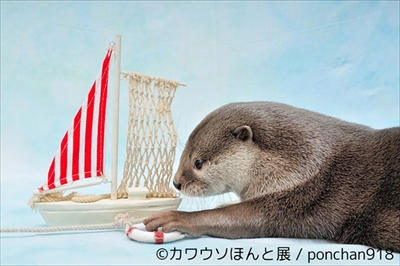 カワウソほんと展