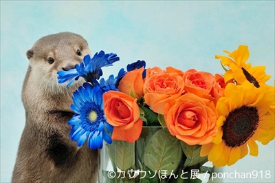 カワウソほんと展