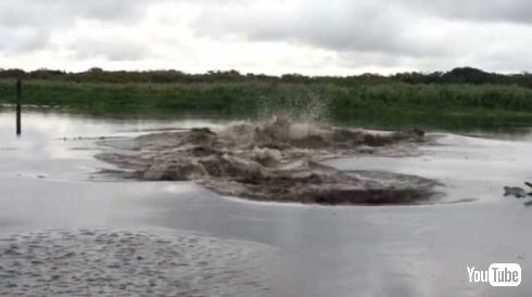 川 爆発 マナティー 動画