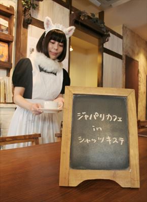 シャッツキステ