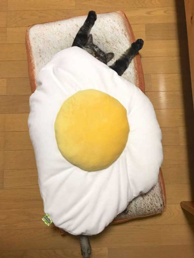 猫 朝食 目玉焼き クッション 食パン
