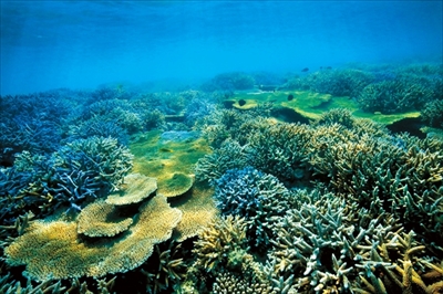 水中写真展「永遠の海」