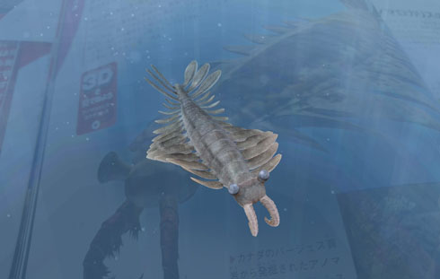 アノマロカリス