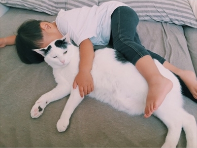 Amebaブログ　ザクロとたい