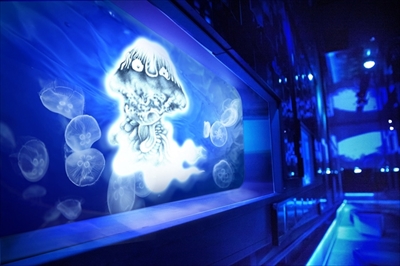 水木しげる×すみだ水族館