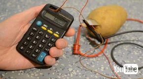 じゃがいも 自走 発電 車 ペット