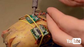 じゃがいも 自走 発電 車 ペット