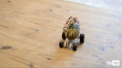 じゃがいも 自走 発電 車 ペット