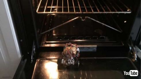 じゃがいも 自走 発電 車 ペット