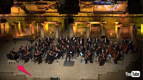 犬 オーケストラ 演奏 屋外 紛れ込む