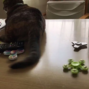 ハンドスピナー