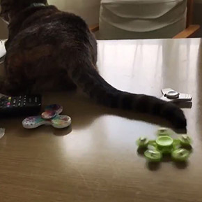 ハンドスピナー