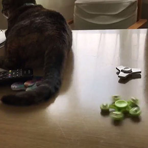 ハンドスピナー