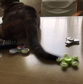 ハンドスピナー