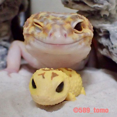 ヤモリ 琥珀 ちんまり おもちゃ 表情