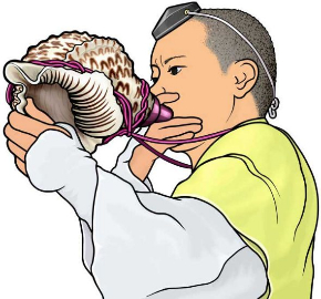 楽器 イラスト フリー素材