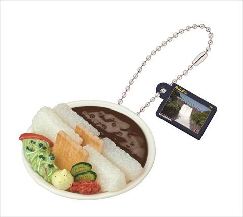 丸山・新丸山コラボダムカレー