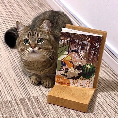 猫のお寺の知恩さん