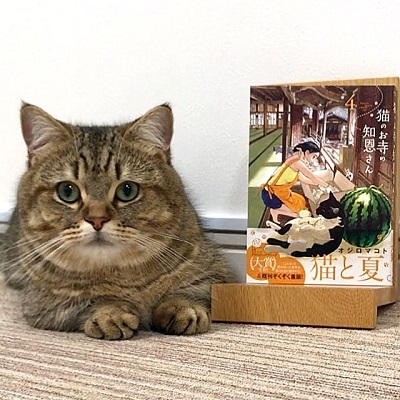 猫のお寺の知恩さん