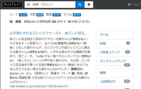 Nyafoo 検索サイト 開発